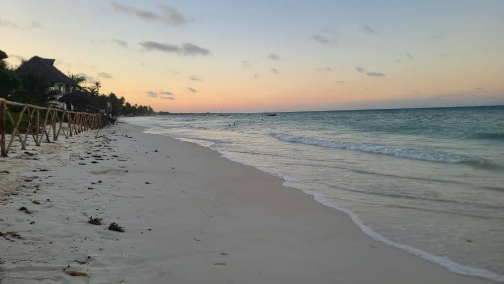Driftwood Beach Lodge Jambiani  Exterior foto
