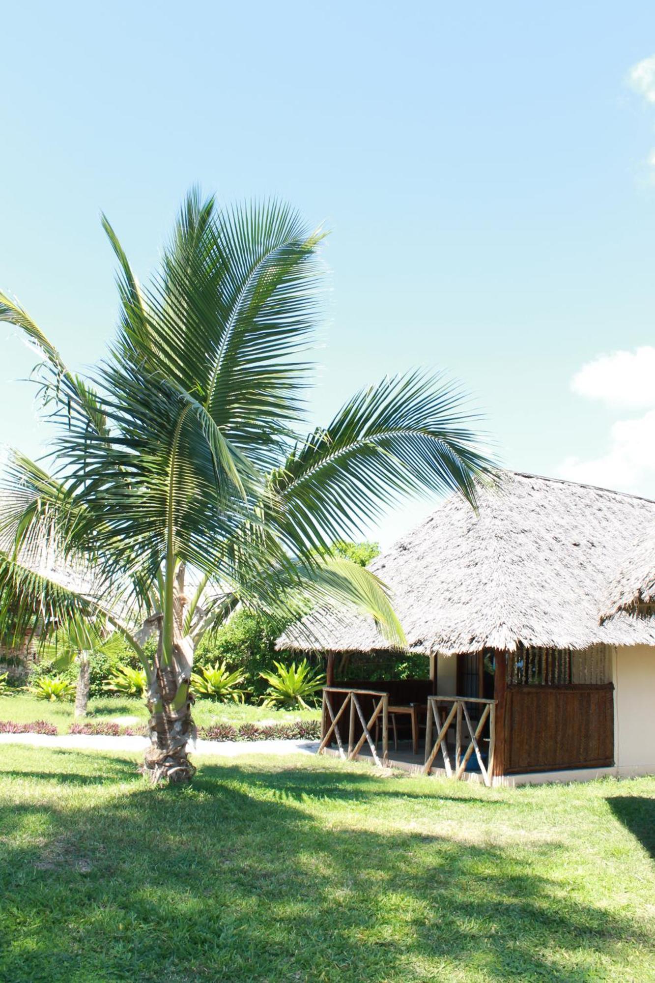 Driftwood Beach Lodge Jambiani  Exterior foto
