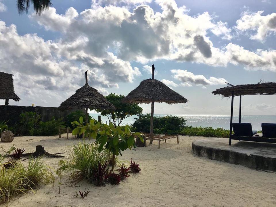 Driftwood Beach Lodge Jambiani  Exterior foto