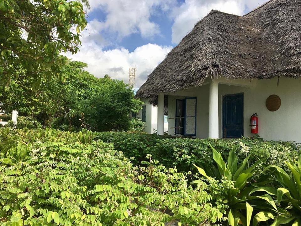 Driftwood Beach Lodge Jambiani  Exterior foto