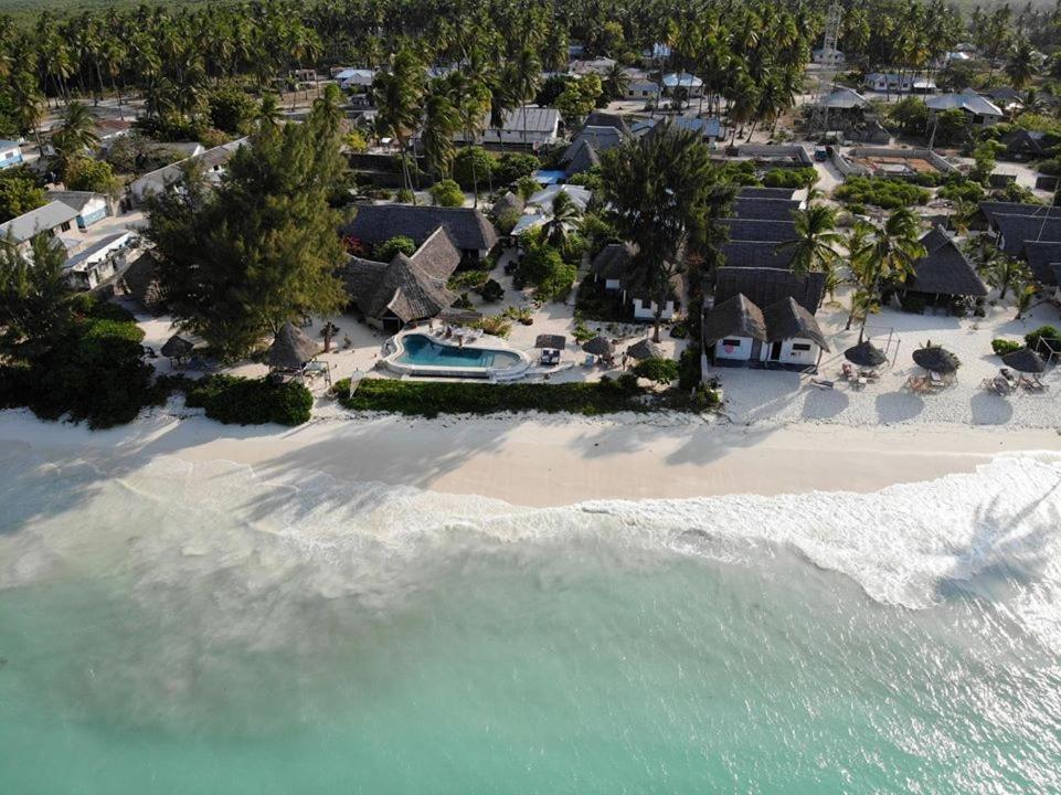 Driftwood Beach Lodge Jambiani  Exterior foto